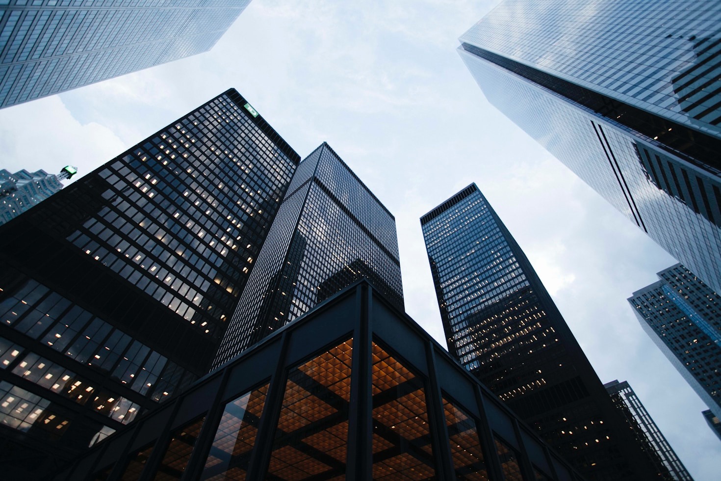 How Darklake Holdings Became a Global Leader
